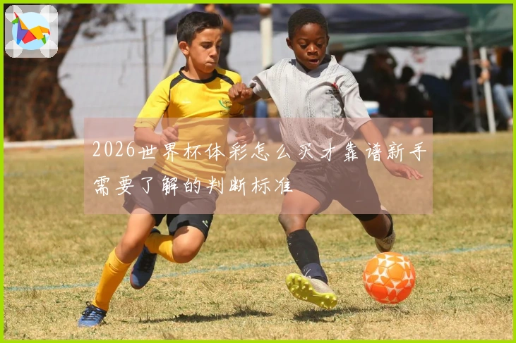 2026世界杯体彩怎么买才靠谱新手需要了解的判断标准