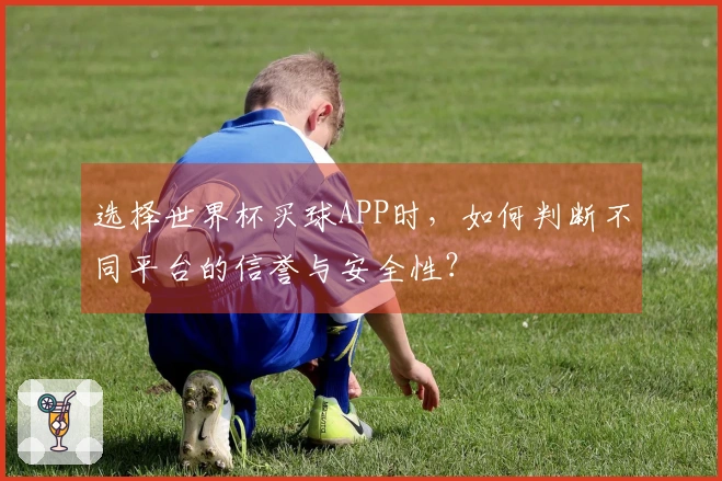 选择世界杯买球APP时，如何判断不同平台的信誉与安全性？
