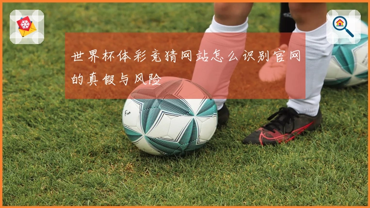世界杯体彩竞猜网站怎么识别官网的真假与风险