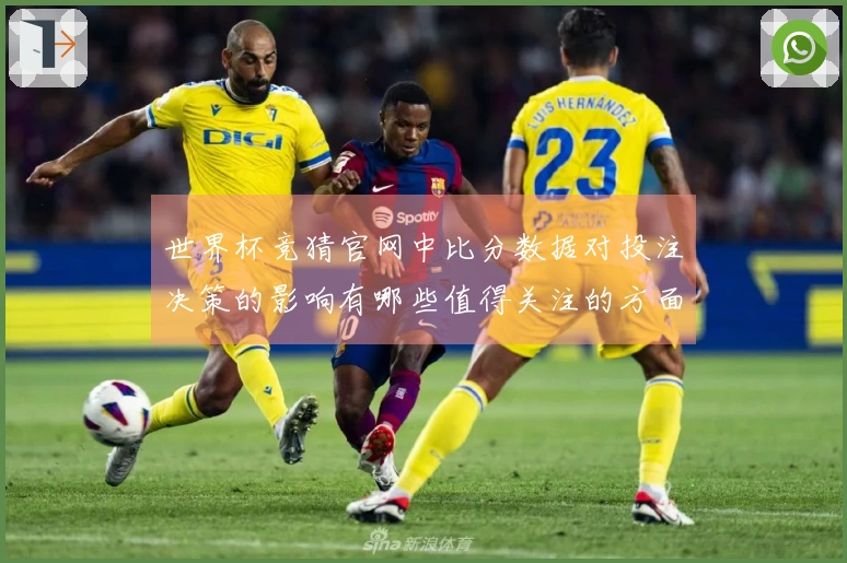 世界杯竞猜官网中比分数据对投注决策的影响有哪些值得关注的方面