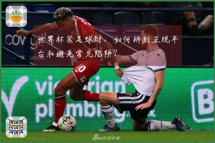 世界杯买足球时，如何辨别正规平台和避免常见陷阱？