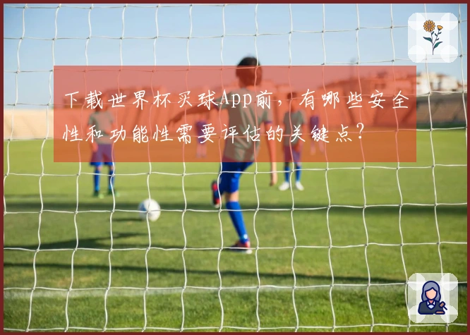 下载世界杯买球App前，有哪些安全性和功能性需要评估的关键点？
